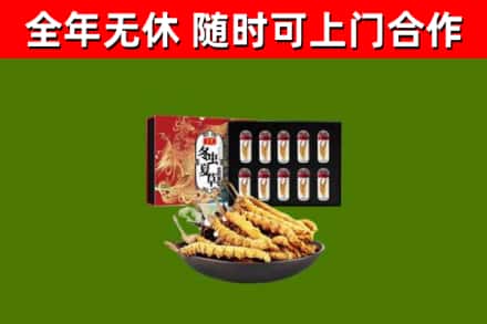 长垣烟酒回收冬虫夏草礼盒.jpg